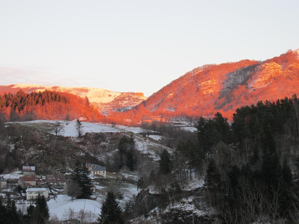 Domaine De La Jordanne - * Saint-Cirgues-de-Jordanne
