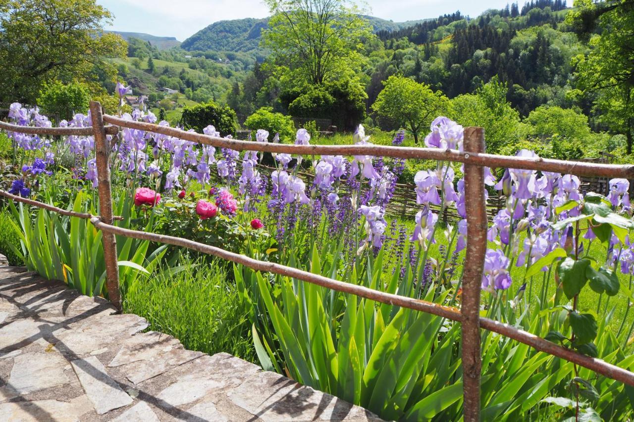 Domaine De La Jordanne - Gasthof *